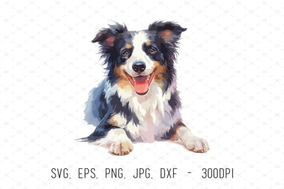 Cute Watercolor Border Collie Dog PNG Guide